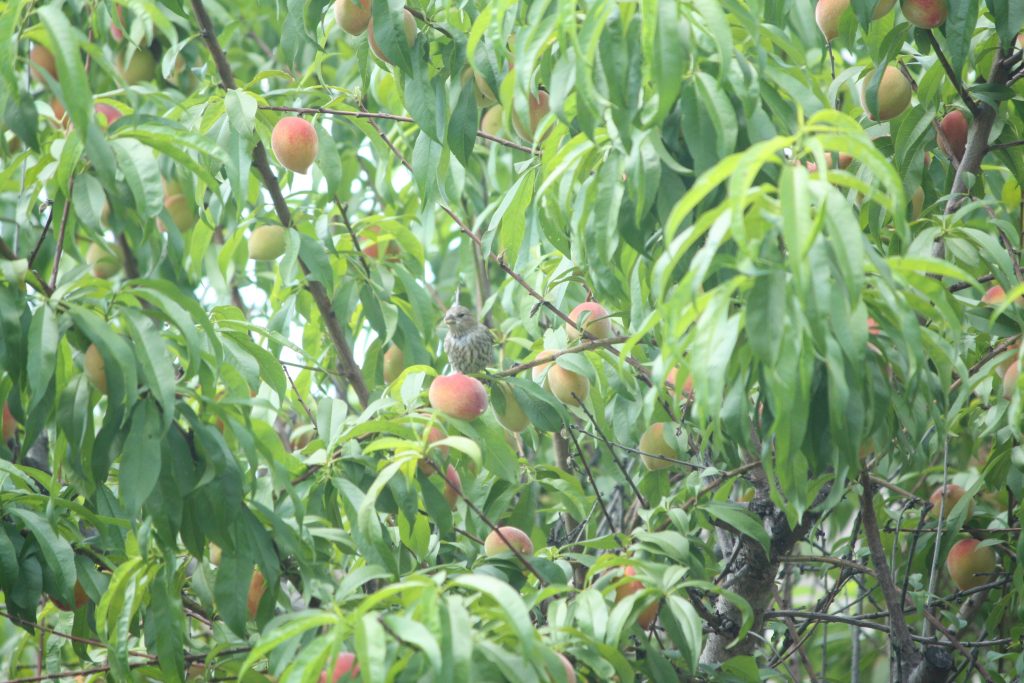 æ­¤å¾åçaltå±æ§ä¸ºç©ºï¼æä»¶åä¸ºIMG_2521-1024x683.jpg