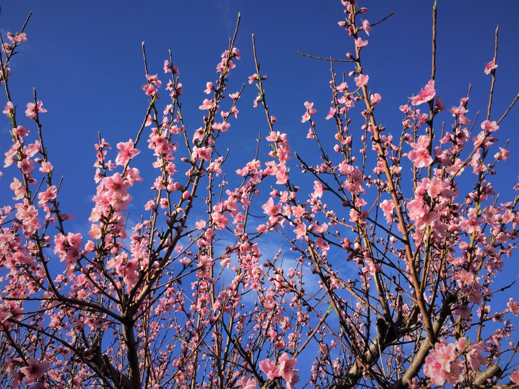 æ­¤å¾åçaltå±æ§ä¸ºç©ºï¼æä»¶åä¸ºIMG_9151-Edited-1024x768.jpg