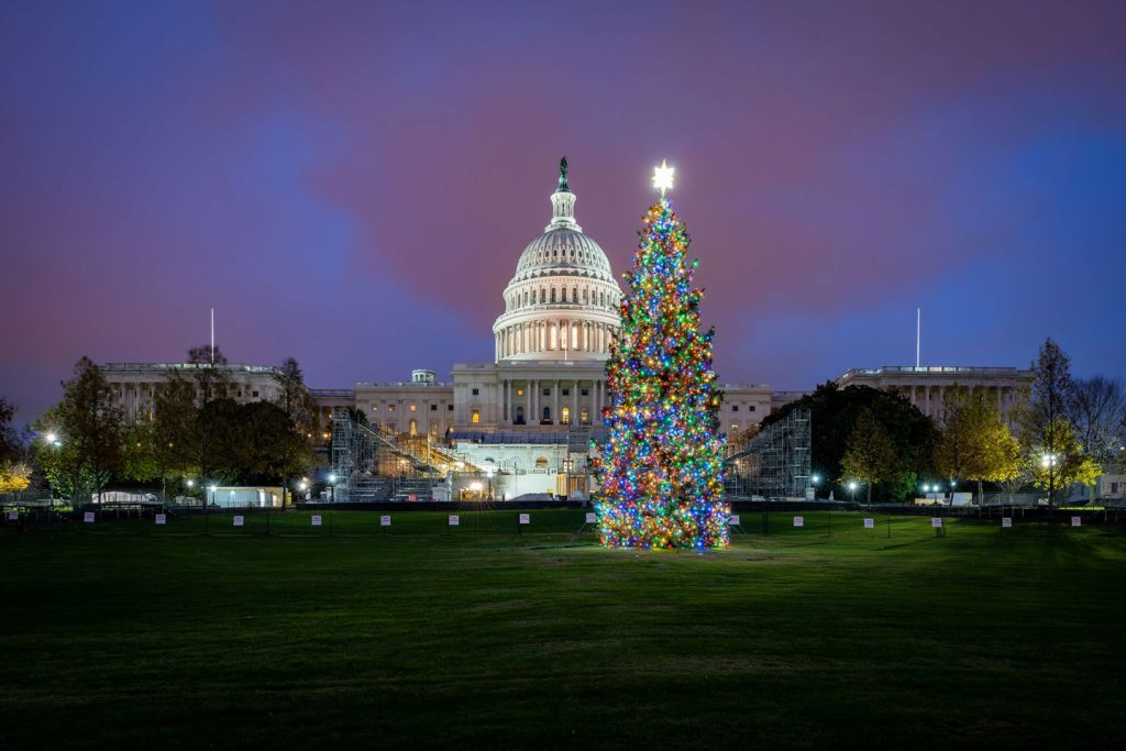 此图像的alt属性为空；文件名为20201201_064319_2000w-Capitol-Christmas-Tree-2020-Colorado-1024x683.jpg