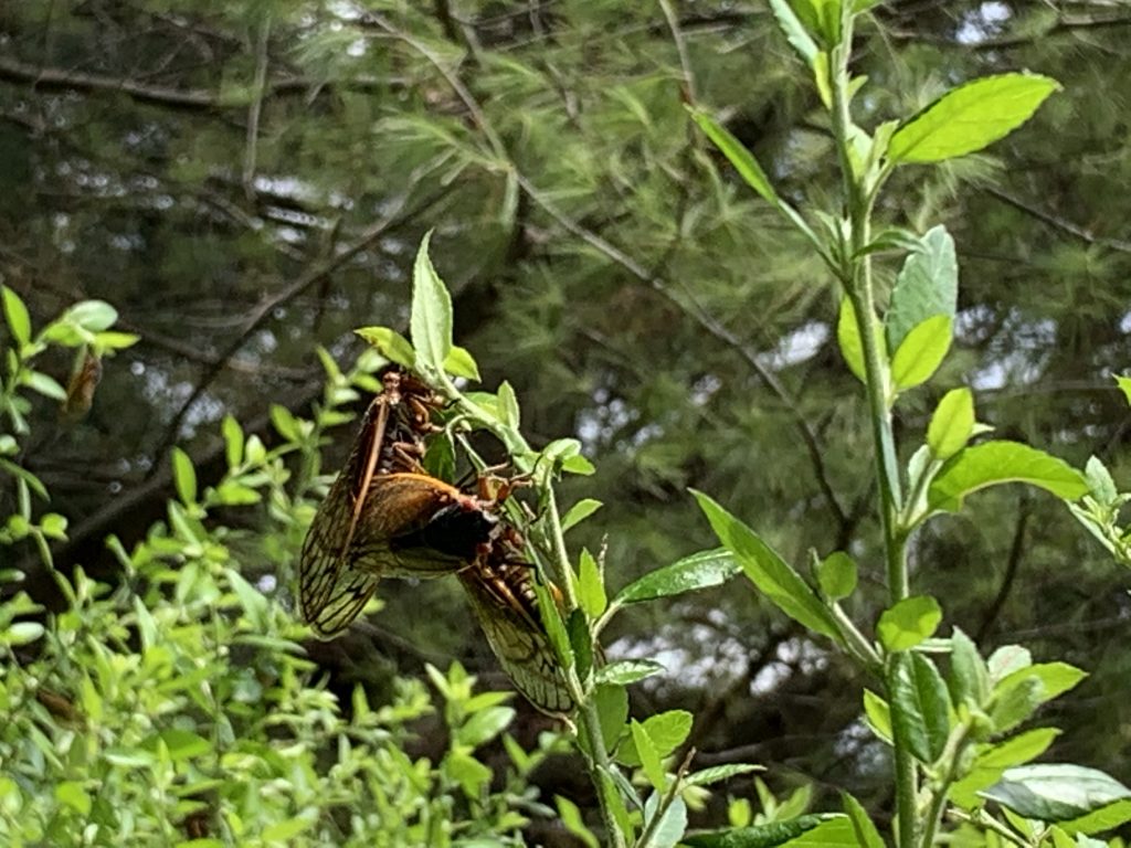 此图像的alt属性为空；文件名为IMG_5817-1024x768.jpg