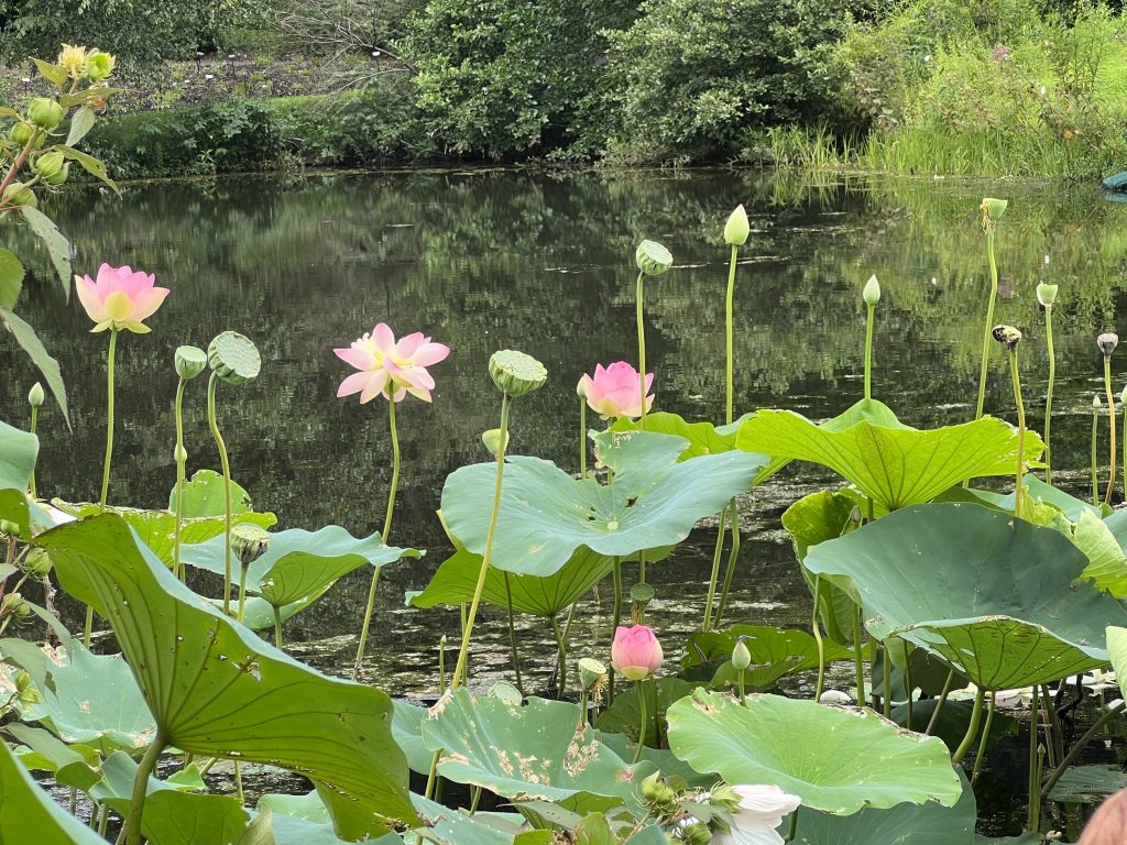 此图像的alt属性为空；文件名为IMG_6828-1024x768.jpg